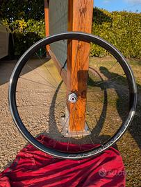 Ruote gravel Campagnolo Levante corpetto XDR