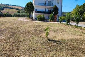 ?appartamento ?