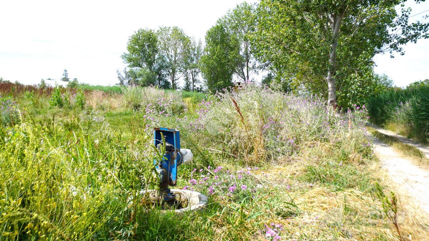 TER. AGRICOLO A EBOLI - Vista 2