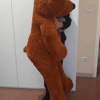 Peluche orso. Alto 1,5 metri.