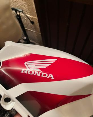 Cbr 600 rr  2010 carene