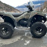 Kawasaki Brute Force 750