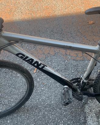 Bicicletta Giant XTC