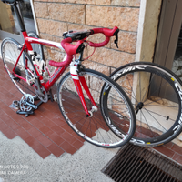 Bici da strada in carbonio Rodman RD256 e regali