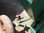 Immagine 5