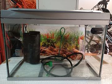 Acquario Tetra 60 L