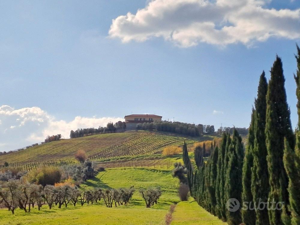 Azienda con vigneto Casale e Cantina Vinci - Vista 6
