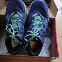 Scarpe da running Ride Iso 