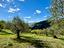 Immagine 15