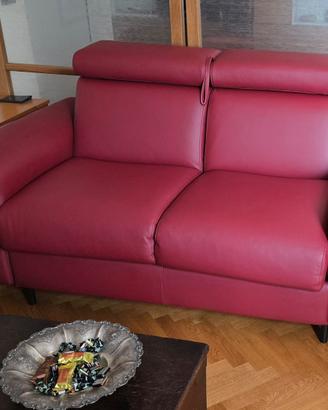 Divani di pelle Samoa modello target / nuovi