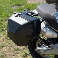 Borse Laterali Rigide per Ducati Scrambler 1100