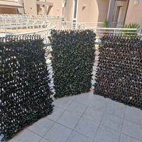 3 Siepi finte con traliccio