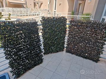 3 Siepi finte con traliccio