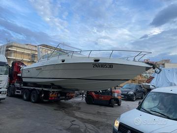Conam 36 lupo di mare