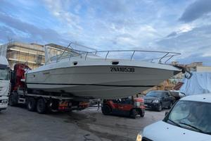 Conam 36 lupo di mare