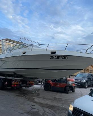 Conam 36 lupo di mare