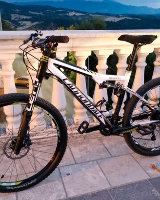 Cannondale scalpel