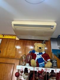 Aria condizionata da soffitto