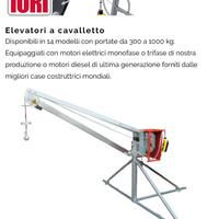 Vendita gru montacarichi