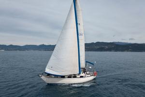 Barca a vela natante con posto barca.