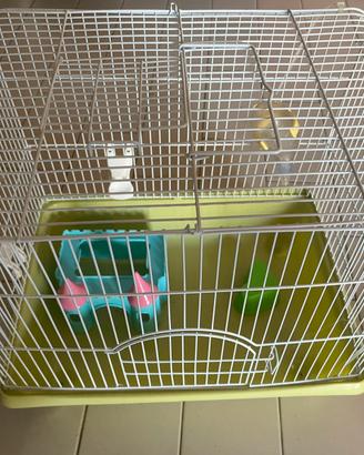 GABBIA PER CRICETI