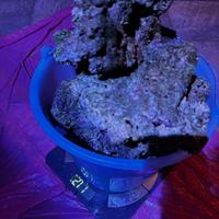 Rocce vive vere Indonesiane molto porose