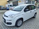 fiat-panda-1-2-8v-69-cv-easy