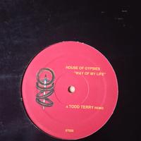  Todd Terry - House of gypsies - way of my life