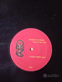  Todd Terry - House of gypsies - way of my life