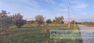 Terreno di 4600 m² a Ortona