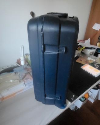 Trolley Roncato