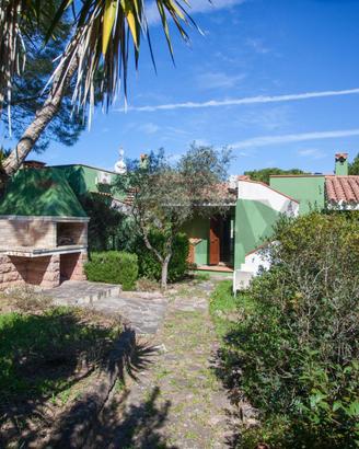 Villa a schiera - Narbolia