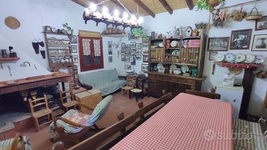 Casa in Campagna con oliveto e frutteto
