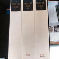 Libro vintage I grandi santi italiani Mino Caudana