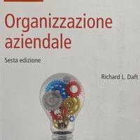 Organizzazione aziendale, Daft, Maggioli Editore