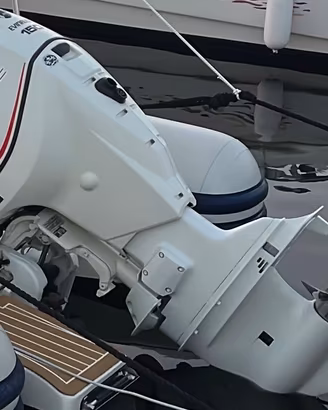 Ricambi Evinrude E Tec 150 cv G1