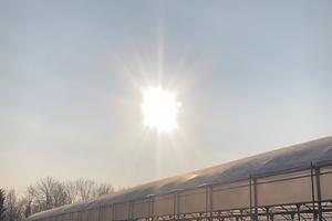 Azienda agricola floricola