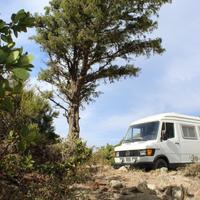 Mercedes camper epoca