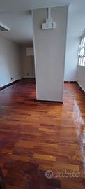 Monolocale con parquet e wc