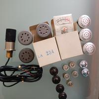 capsule microfoniche