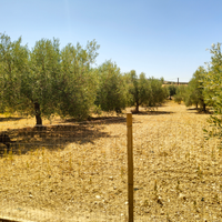 Terreno con piccolo fabbricato e trattore