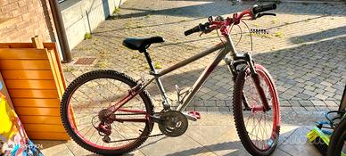 Bicicletta ragazzo