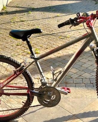 Bicicletta ragazzo