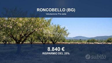 Immobile in asta di 3739 m² a Roncobello
