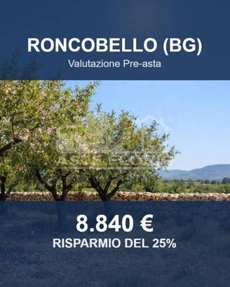 Immobile in asta di 3739 m² a Roncobello