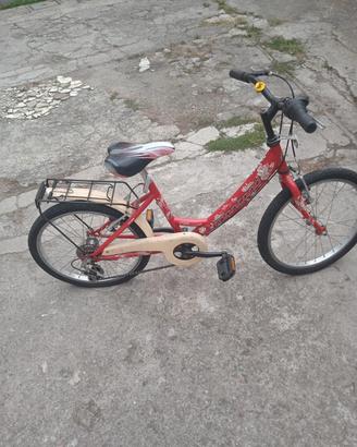 bicicletta 