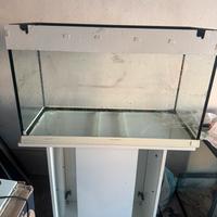 Acquario 100 litri