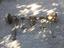 Immagine 2