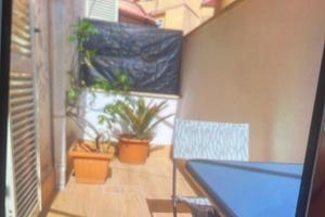 Casa vacanza Nettuno a 100 metri dal mare