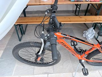 bicicletta per bambino